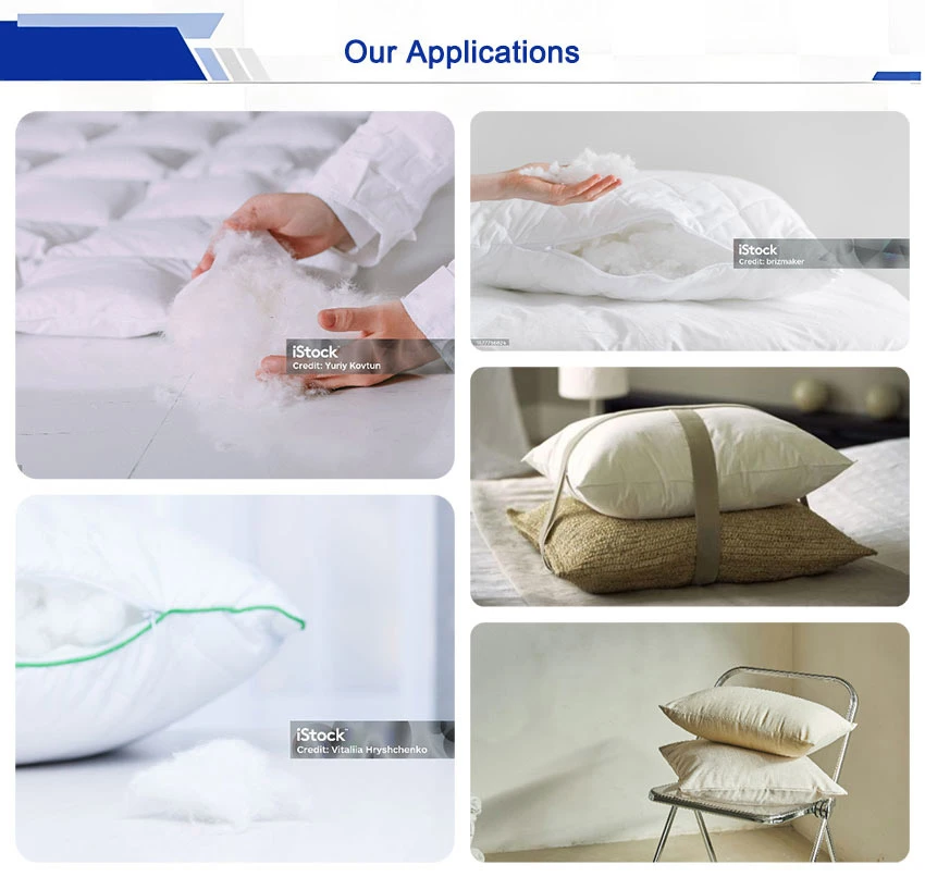 Our applications1 Our applications1