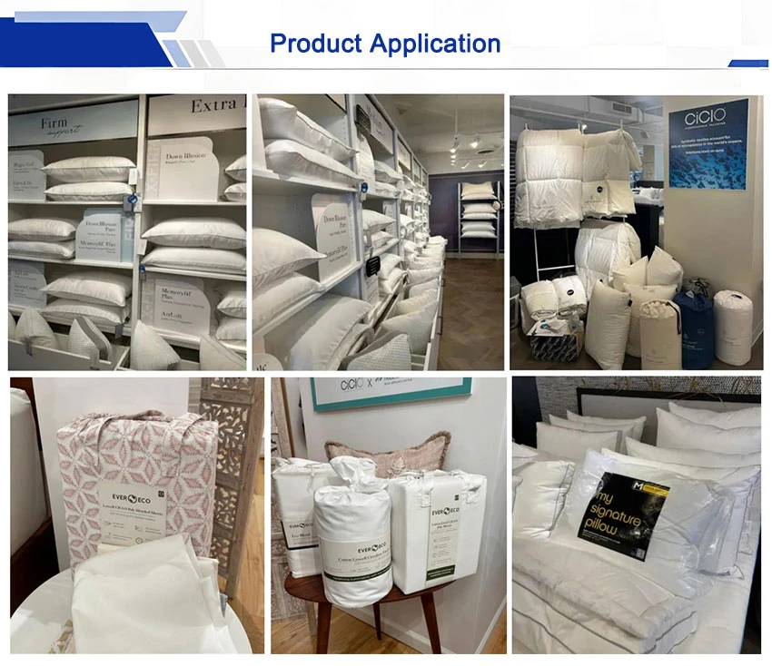 product application 5